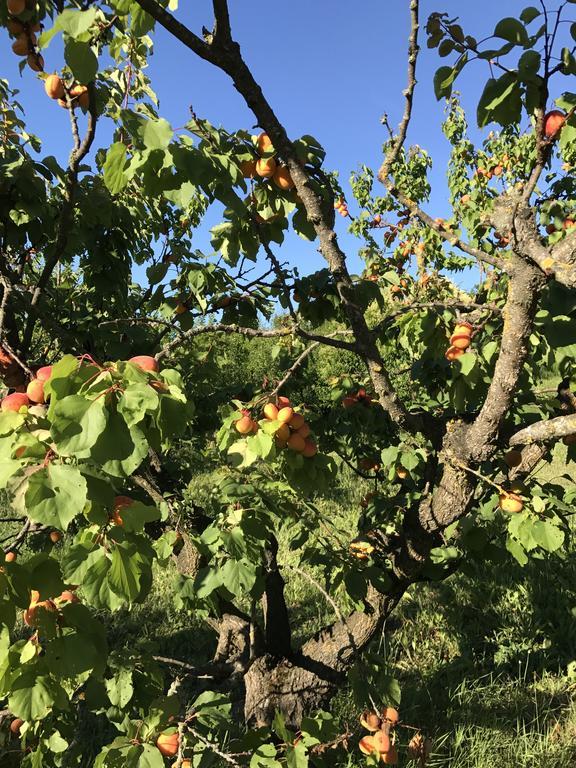 מלון Castelletto Mendosio Agriturismo Ca Lunati מראה חיצוני תמונה