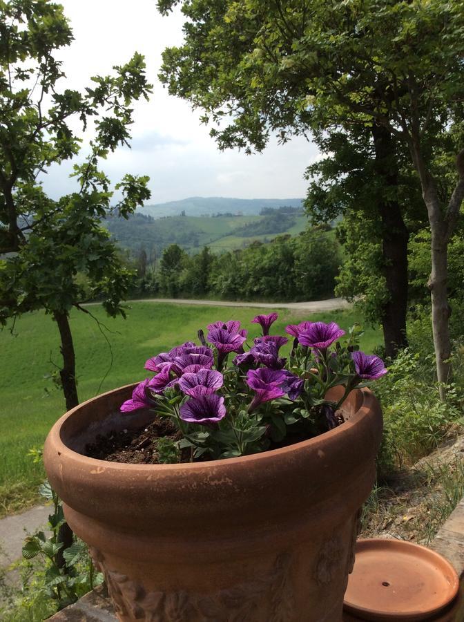 מלון Castelletto Mendosio Agriturismo Ca Lunati מראה חיצוני תמונה