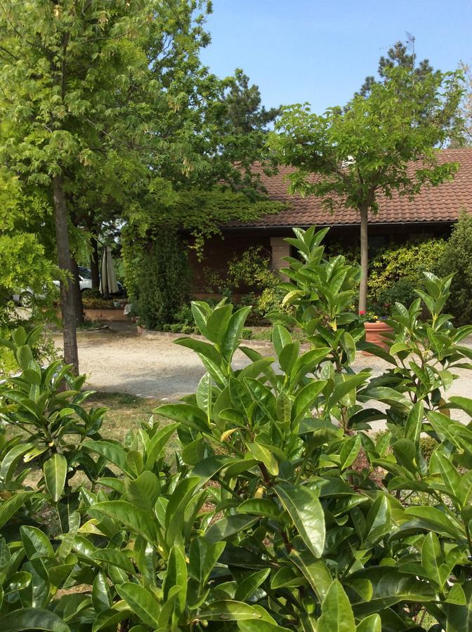 מלון Castelletto Mendosio Agriturismo Ca Lunati מראה חיצוני תמונה